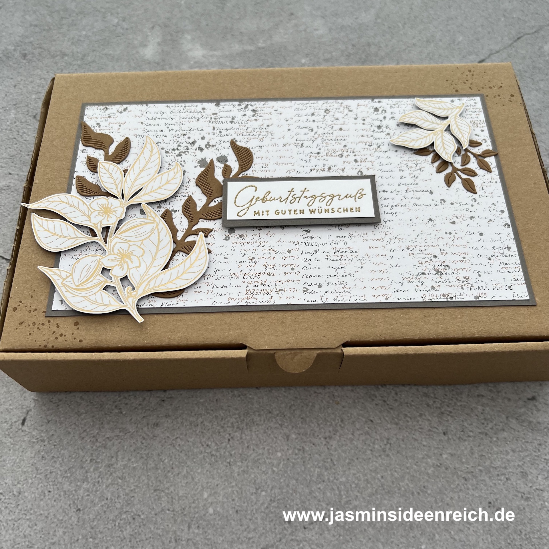 24.02.24 - Boxen in Box 1.jpeg